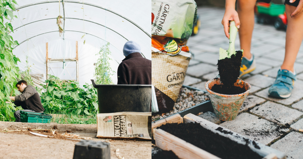 Lernen Sie alles über Ihren Garten.